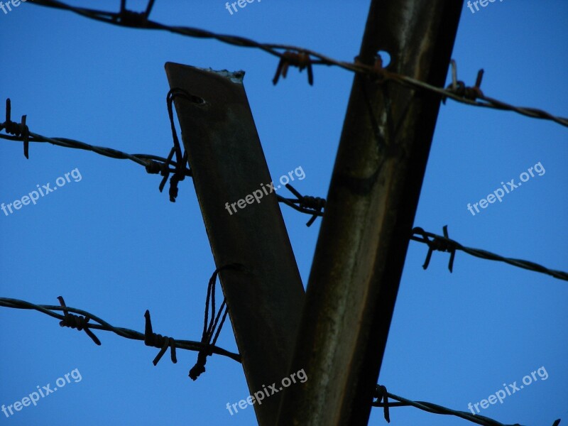 Wire Barbed Wire Fence Caught Pointed