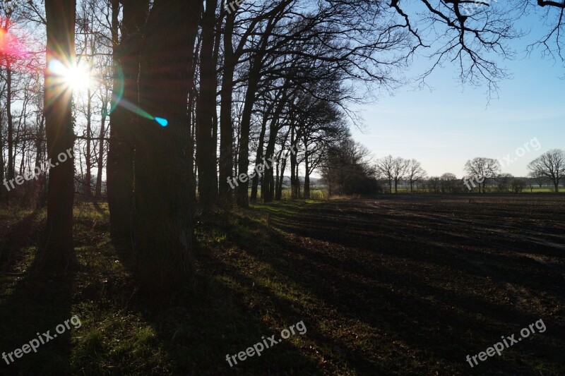 Backlighting Landscape Nature Sun Evening