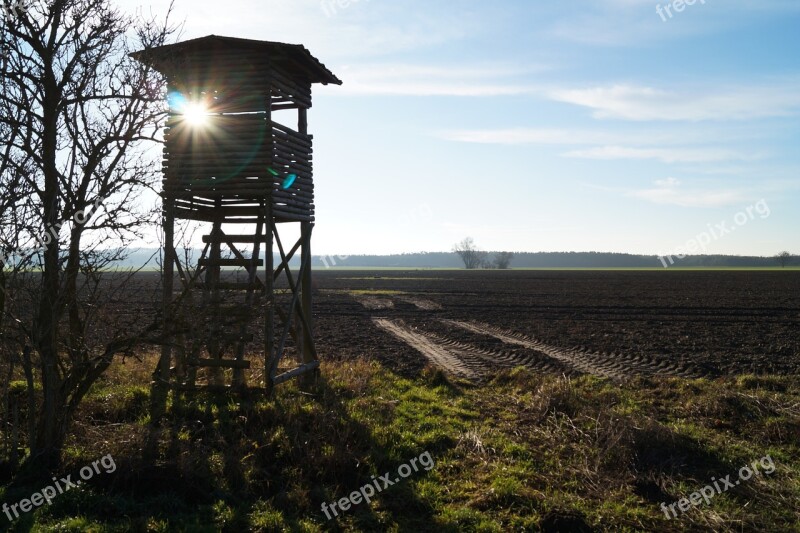 Delight Perch Hunting Seat Sun Field