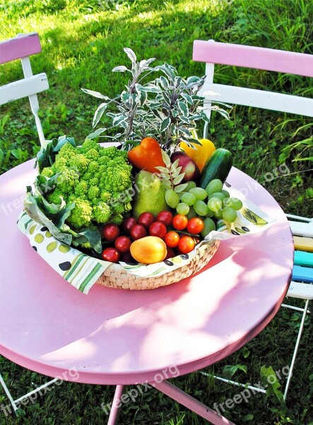 Vegetables Garden Table Summer Nature Gedeckter Table