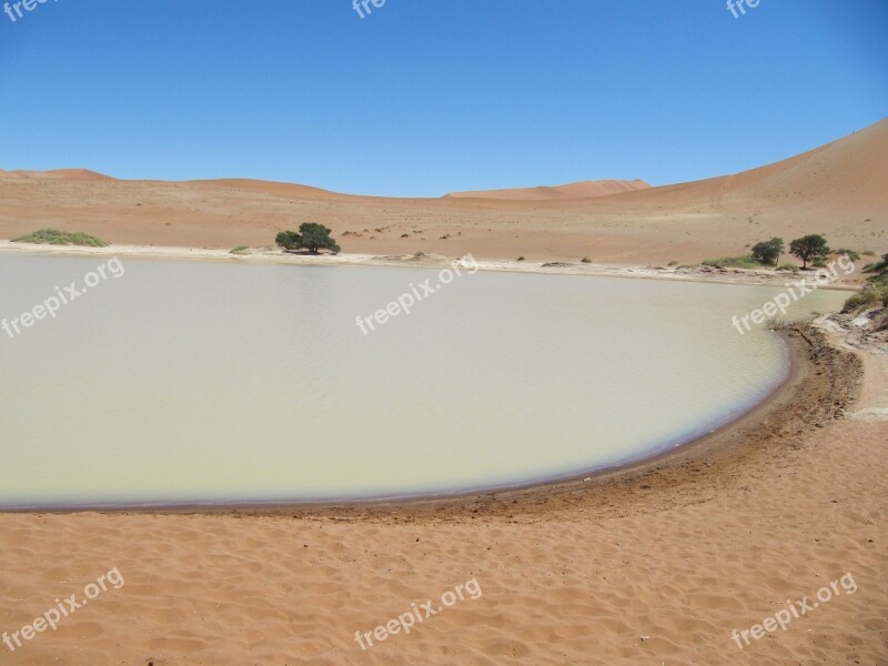 Deadvlei Namib Desert Sossusvlei Landscape