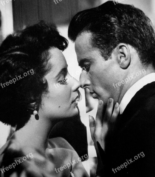 Elizabeth Taylor Montgomery Clift Actress Actor Stars