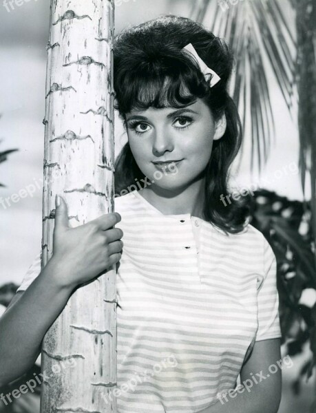 Dawn Wells Actress Television Series Gilligans Island