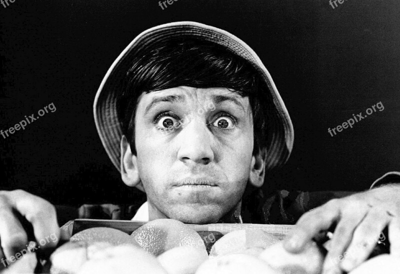 Bob Denver Actor Comedy Television Tv