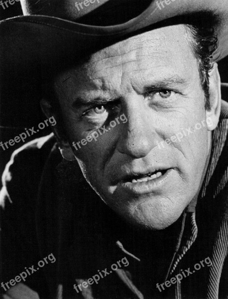 James Arness Actor Classic Television Series