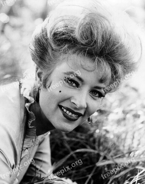 Amanda Blake Actress Classic Television Series