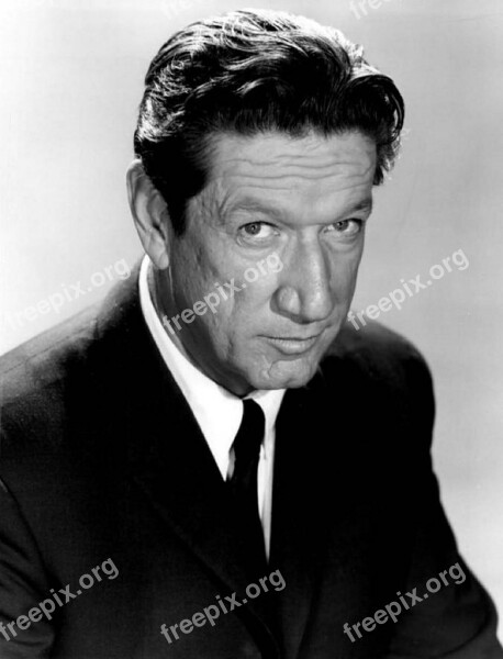 Richard Boone Actor Television Motion Pictures Movies