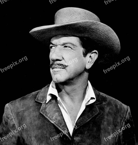 Richard Boone Actor Television Motion Pictures Movies