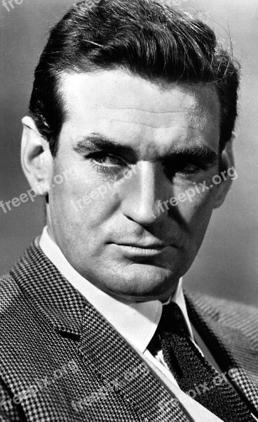 Rod Taylor Actor Classic Motion Pictures Movies