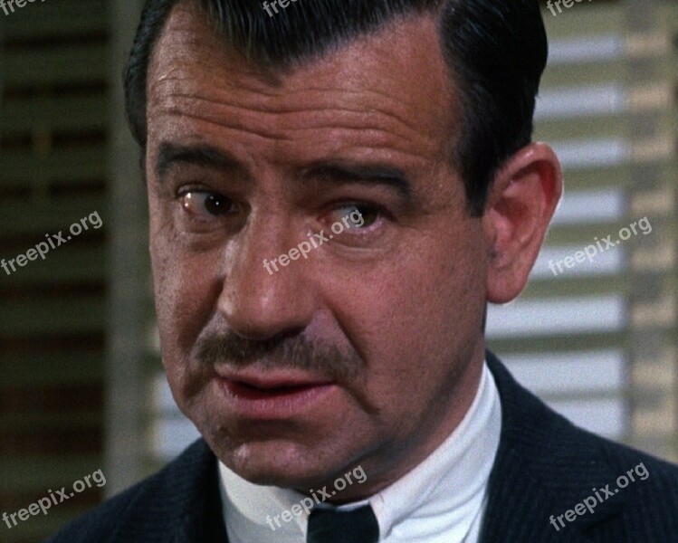 Walter Matthau Actor Motion Pictures Movies Vintage