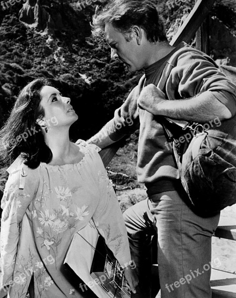 Elizabeth Taylor Richard Burton Actress Actor Motion Pictures