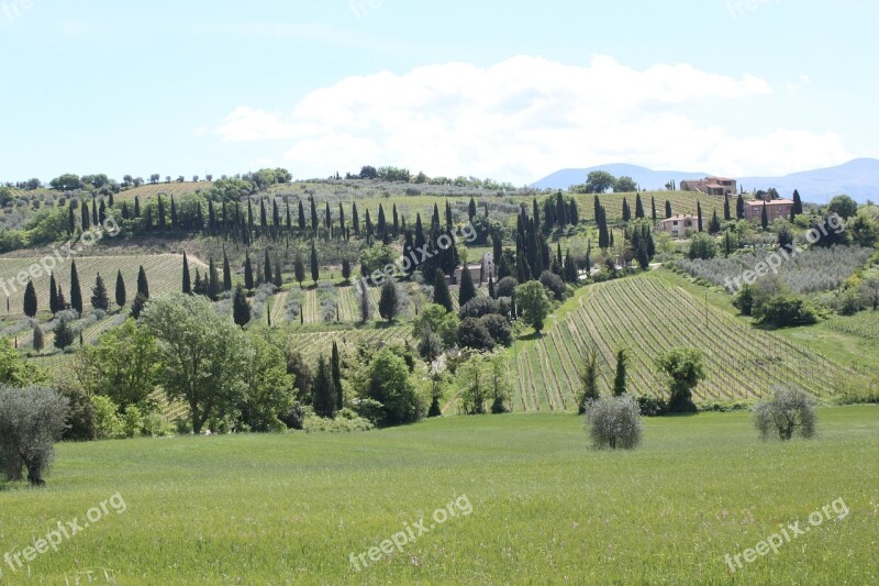 Green Tuscany Trees Italy Free Photos