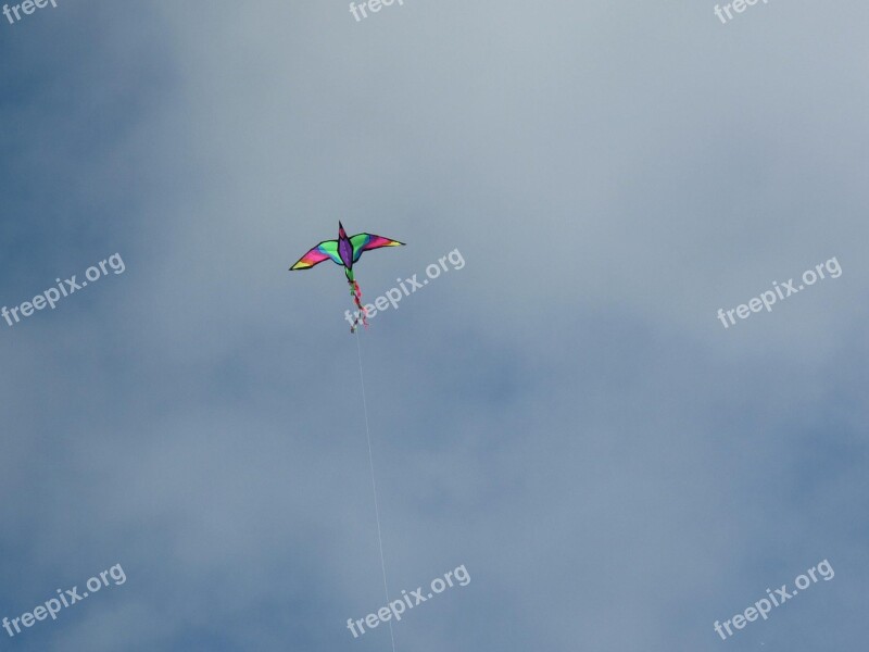 Kite Sky Bird Toy Clouds