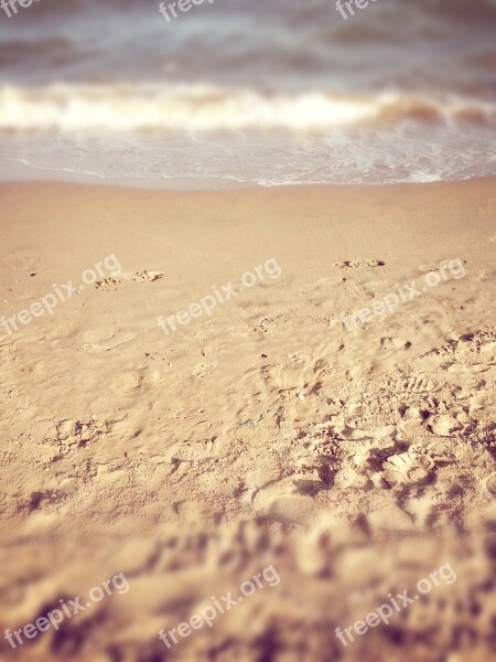 Beach The Sea Footprints Free Photos