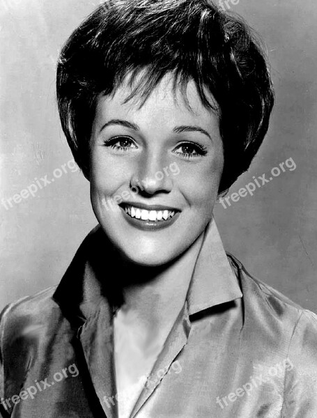 Julie Andrews Actress Motion Pictures Movies Vintage