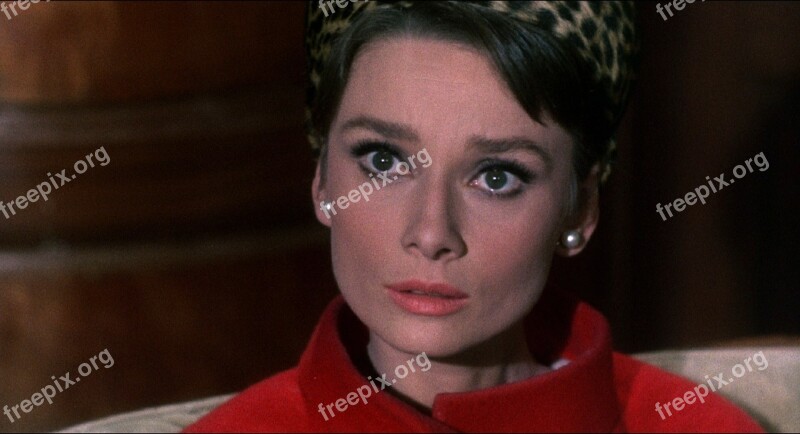 Audrey Hepburn Actress Vintage Movies Motion Pictures