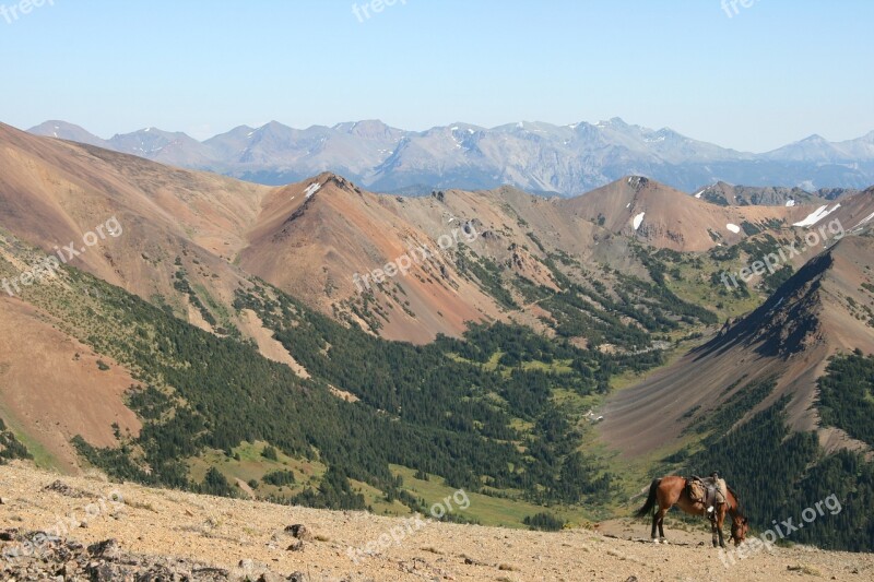 Canada Chilcotin Mountains Blue Sky Horse