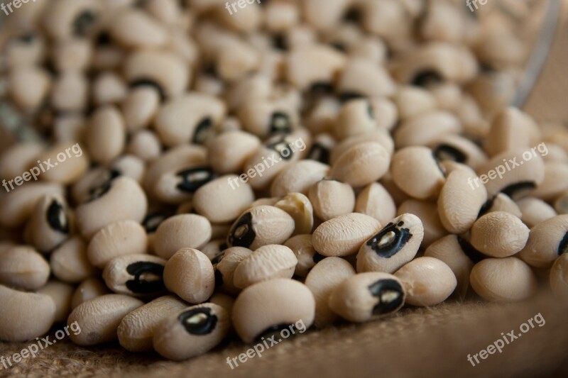 Kidney Beans Beans Dry Legumes Pulses