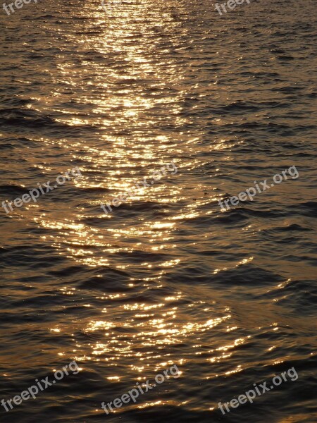 Sunset Sea Water Waves Calm