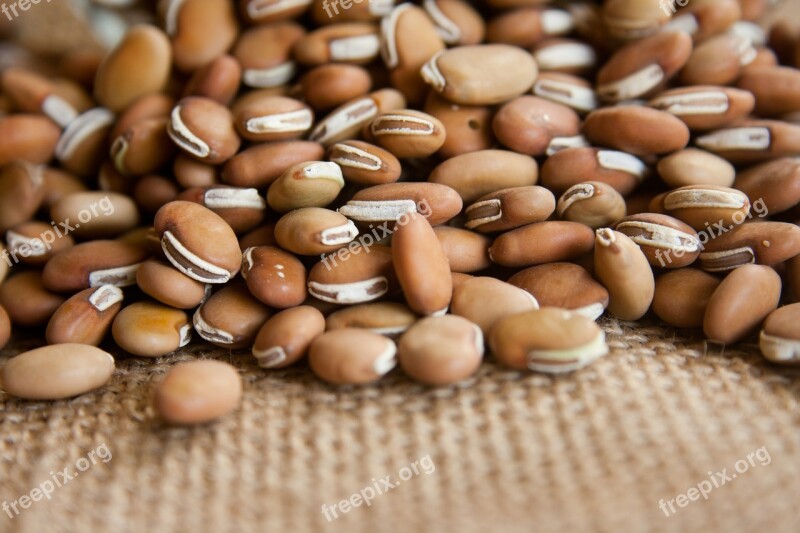 Beans Dry Legumes Pulses Bowl