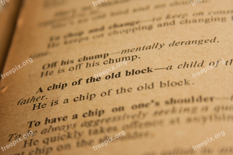 Book Old Ancient Dictionary Vintage