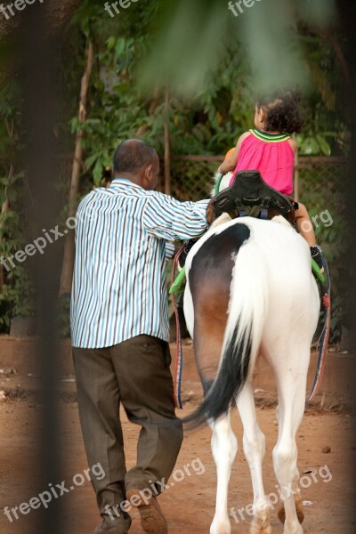 Horse Child Riding Equestrian Girl