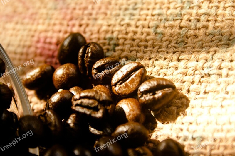 Coffee Coffee Beans Roasted Aroma Brown