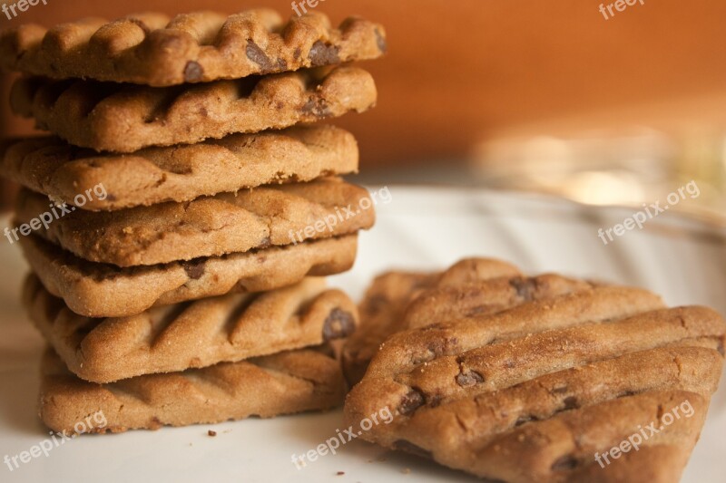 Biscuits Chocolate Chips Cookies Baked Food