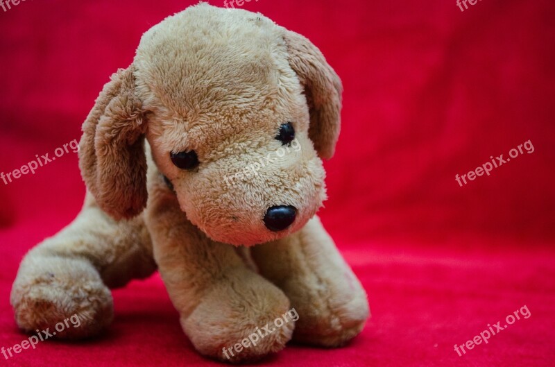 Plush Toys Puppy Soft Toy Dog