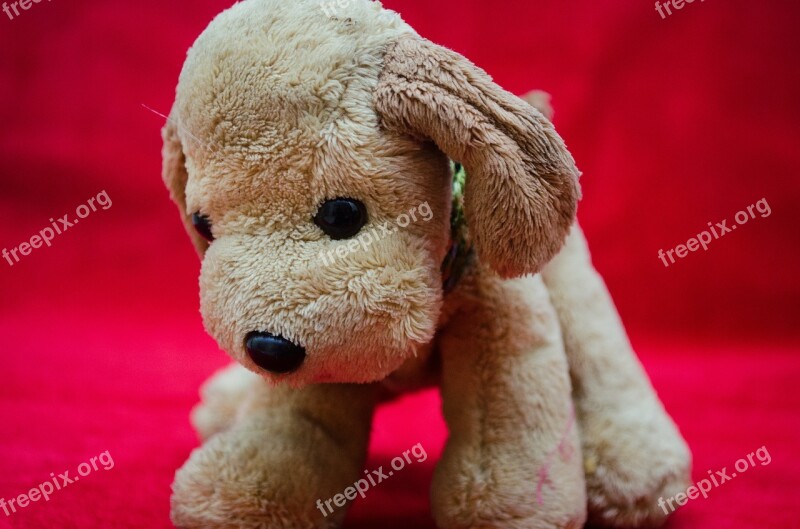 Plush Toys Puppy Soft Toy Dog