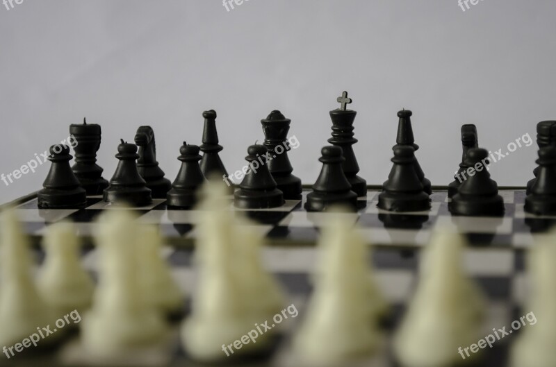 Chess Chess Board Strategy Game Black