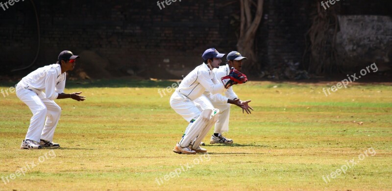 Cricket Wicket Keeping Practice Ball Game