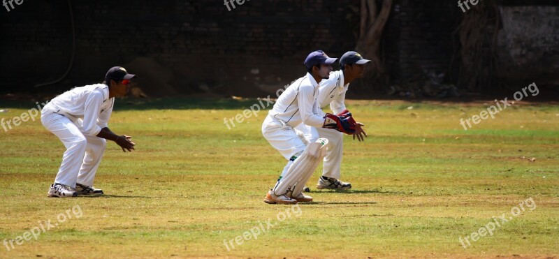 Cricket Wicket Keeping Practice Ball Game