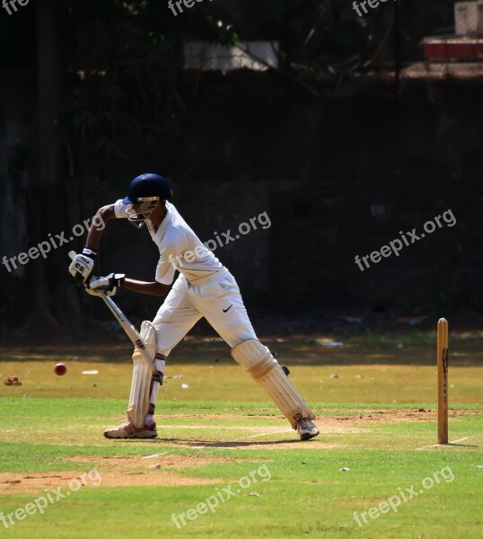 Batsman Cricket Defense Ball Game India