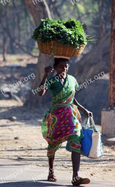 Indian Vegetables Seller Street Carry