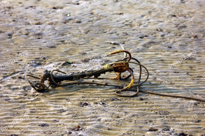 Anchor Sand Sea Low Tide Free Photos