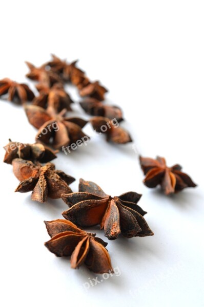 Chinese Star Anise Anise Illicium Verum Star Anise Brown