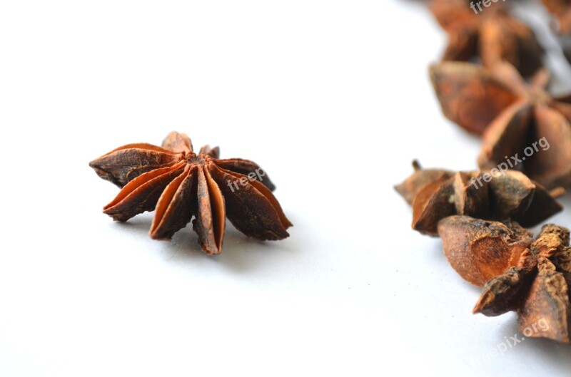 Chinese Star Anise Anise Illicium Verum Star Anise Brown