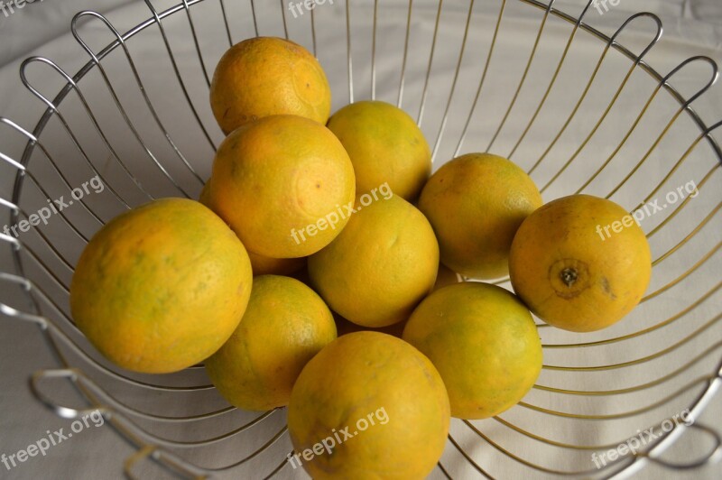 Lime Yellow Sour Citrus Basket