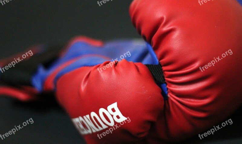 Boxing Gloves Gloves Boxing Sports Martial Arts