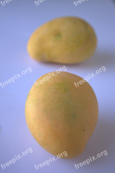 Alphonso Mango Mango Sweet Tasty Alphonso