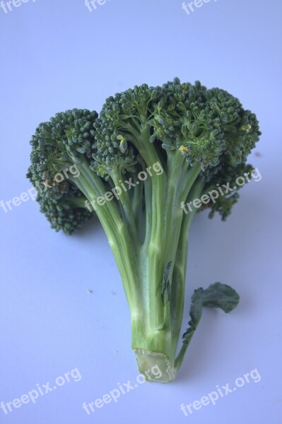 Broccoli Vegetables Healthy Food Diet