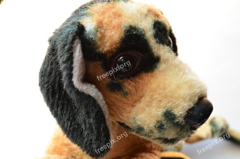 Plush Toy Dog Puppy Soft Toy