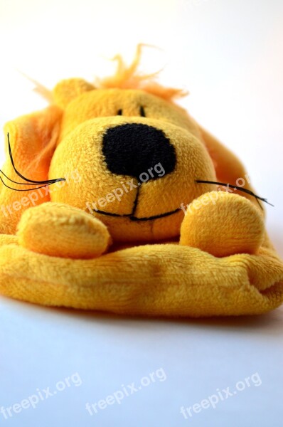 Plush Toy Soft Toy Dog Free Photos