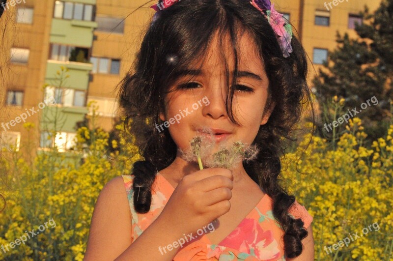 Girl Dandelion Nature Flower Blow