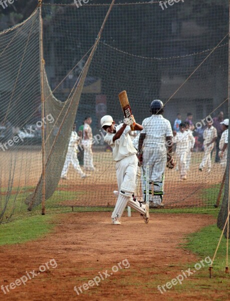 Cricket Batsman Ball Game India Competition