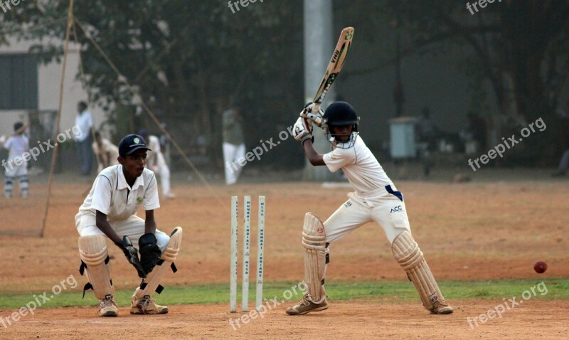 Cricket Batsman Ball Game India Competition