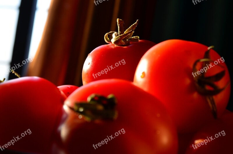 Tomatoes Vegetables Food Fresh Tomato