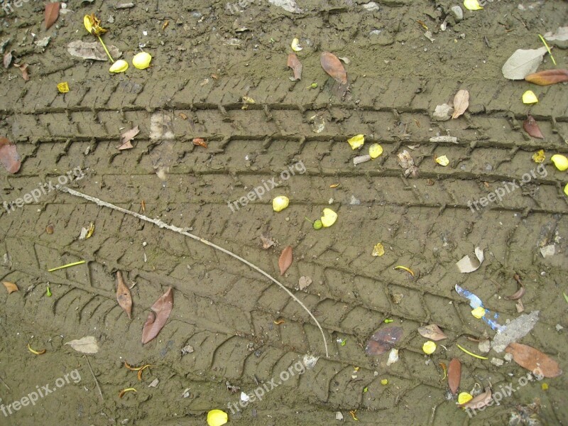 Tyre Tracks Tracks Marks Mud Wet