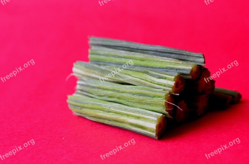 Drumstick Moringa Oleifera Vegetables Green Food